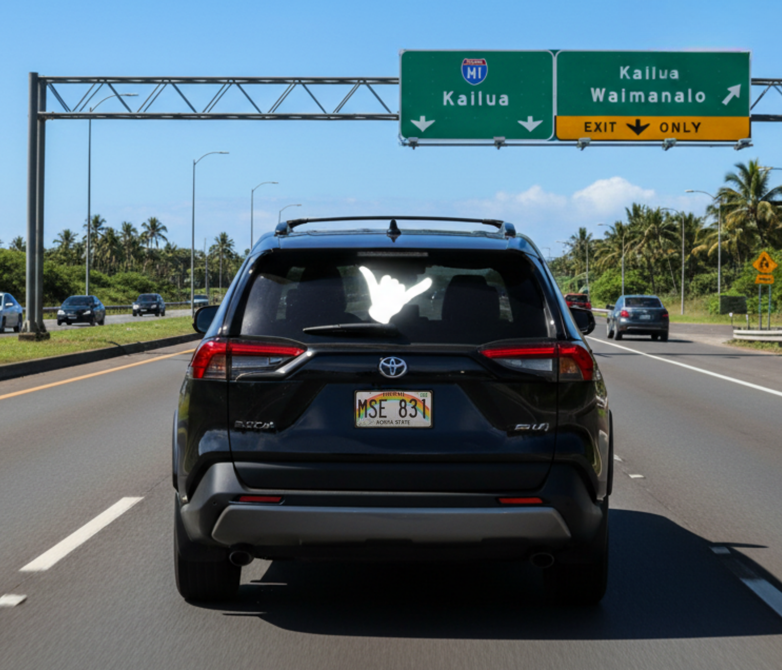 The Shaka visible through a dark tinted rear window